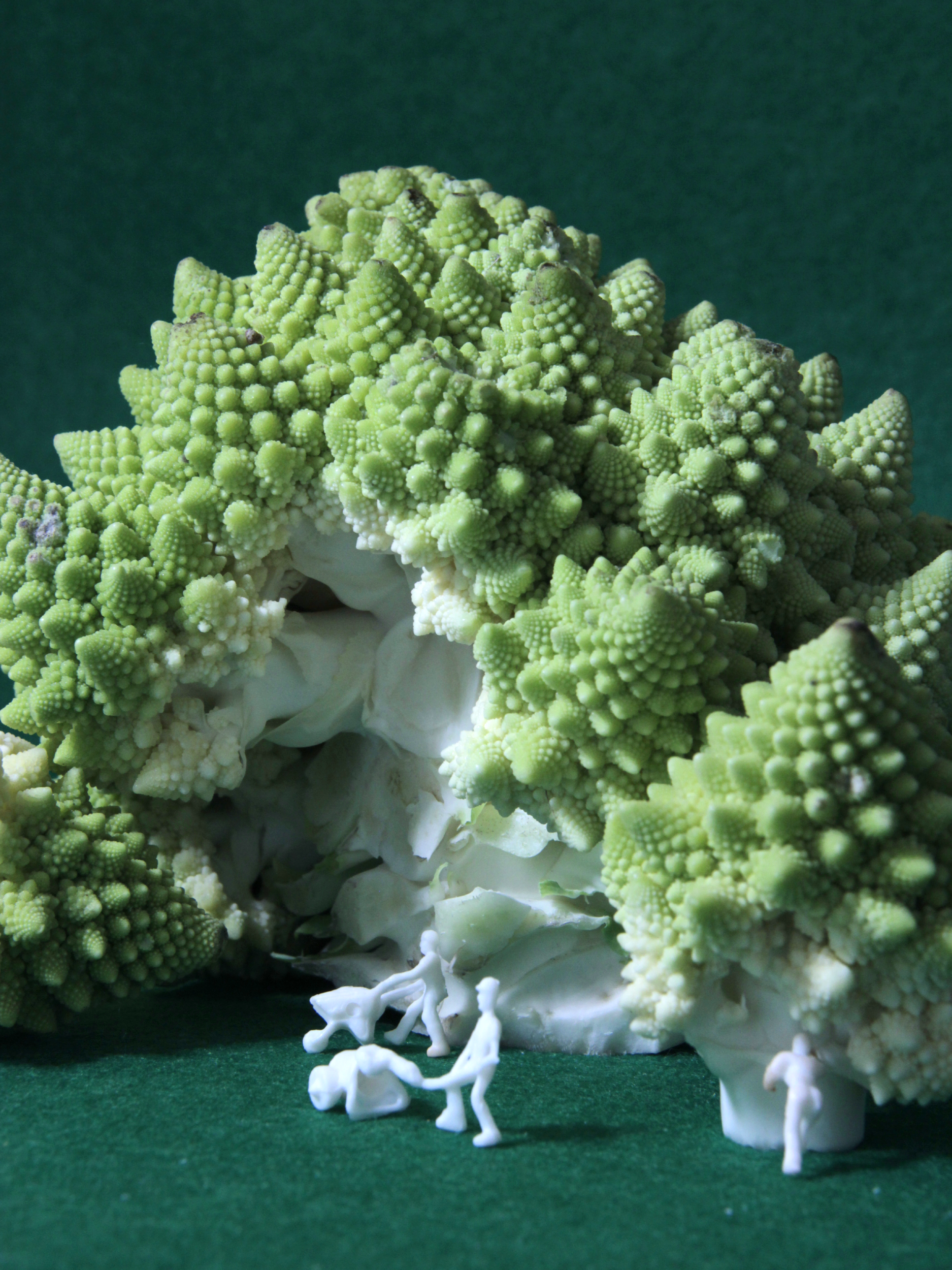Proyecto fotográfico de Jaio de la Puerta. Miniaturas. Mina Romanescu