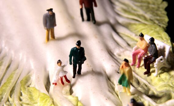 Jaio-ren proiektua / Proyecto fotográfico de Jaio: "Miniaturak."