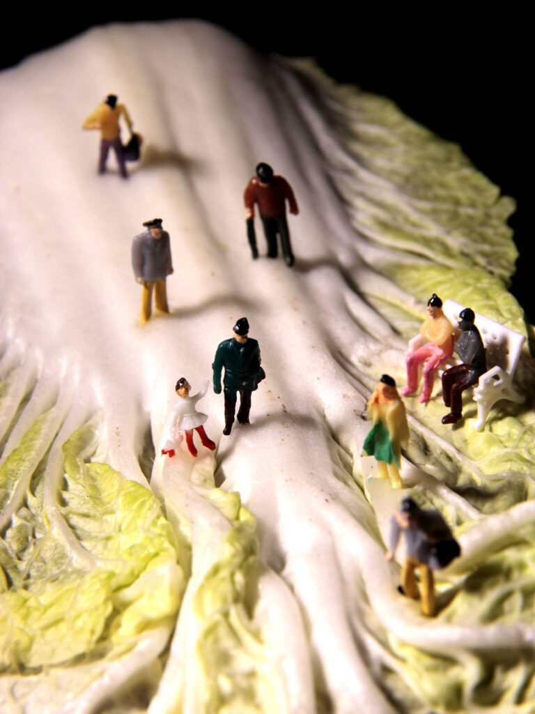 Jaio-ren proiektua / Proyecto fotográfico de Jaio: <em>"Miniaturak."</em>