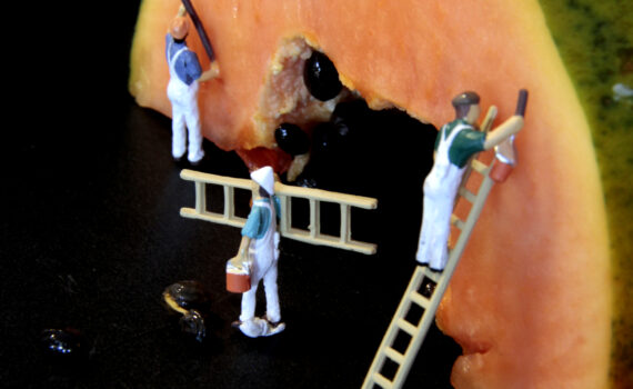 Jaio-ren proiektua / Proyecto fotográfico de Jaio: "Miniaturak."