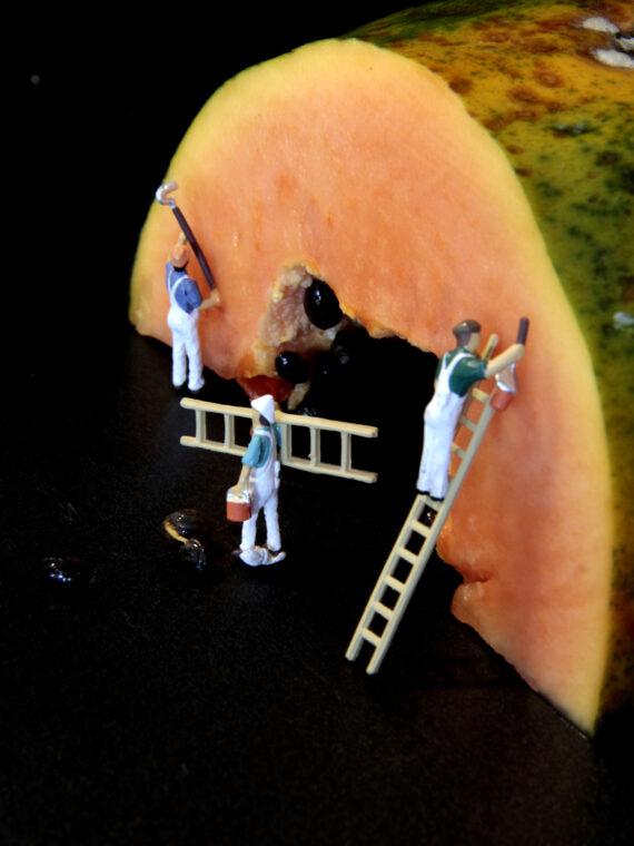 Jaio-ren proiektua / Proyecto fotográfico de Jaio: "Miniaturak."