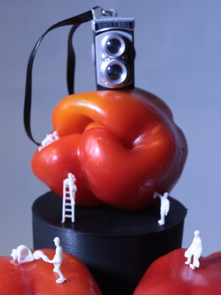 Jaio-ren proiektua / Proyecto fotográfico de Jaio: <em>"Miniaturak."</em>